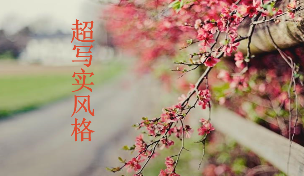 超寫(xiě)實(shí)風(fēng)格