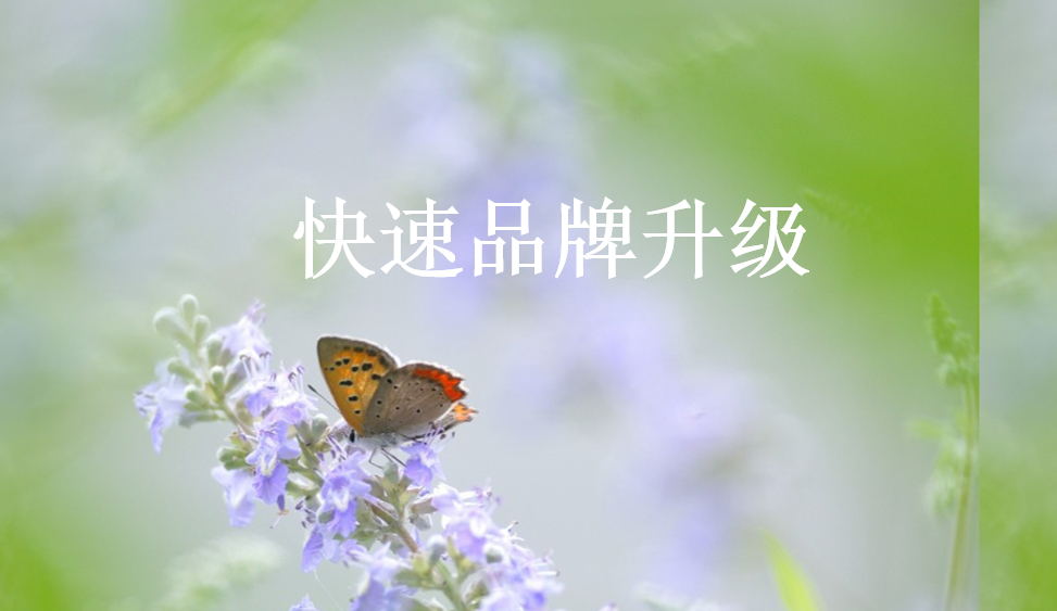 快速品牌升級