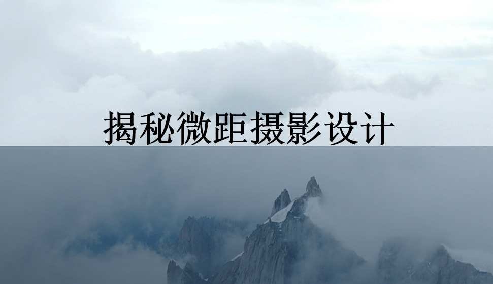 揭秘微距攝影設計
