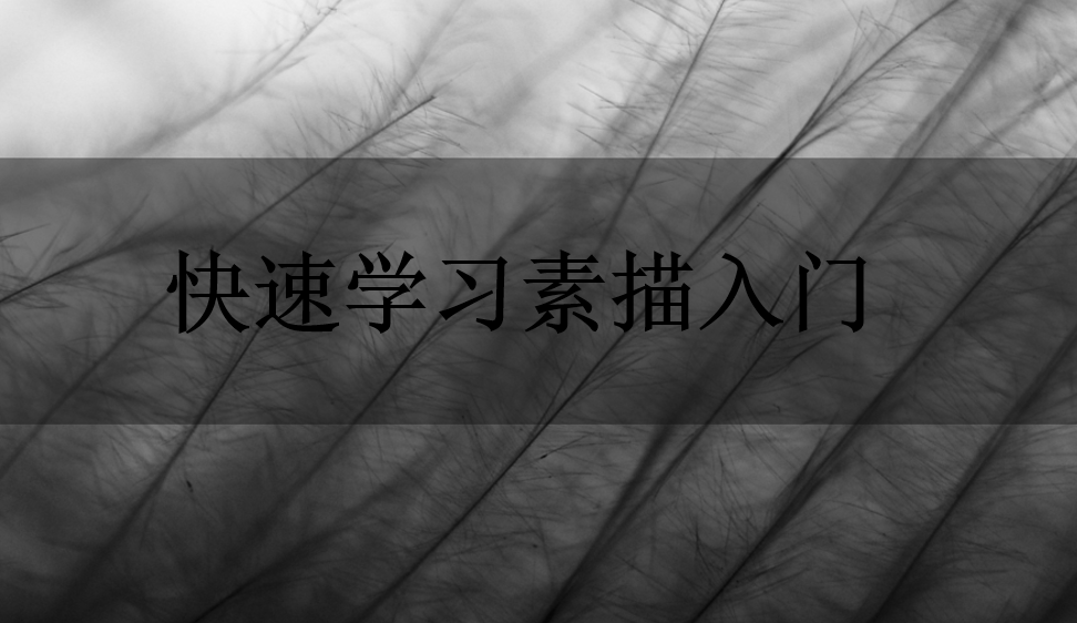 快速學(xué)習(xí)素描入門(mén)