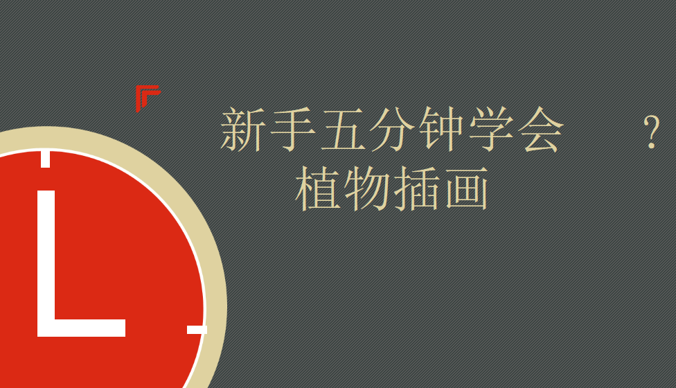 新手五分鐘學(xué)會(huì)植物插畫(huà)