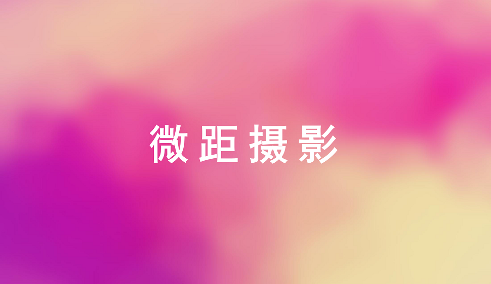 攝影藝術必須掌握的微距攝影