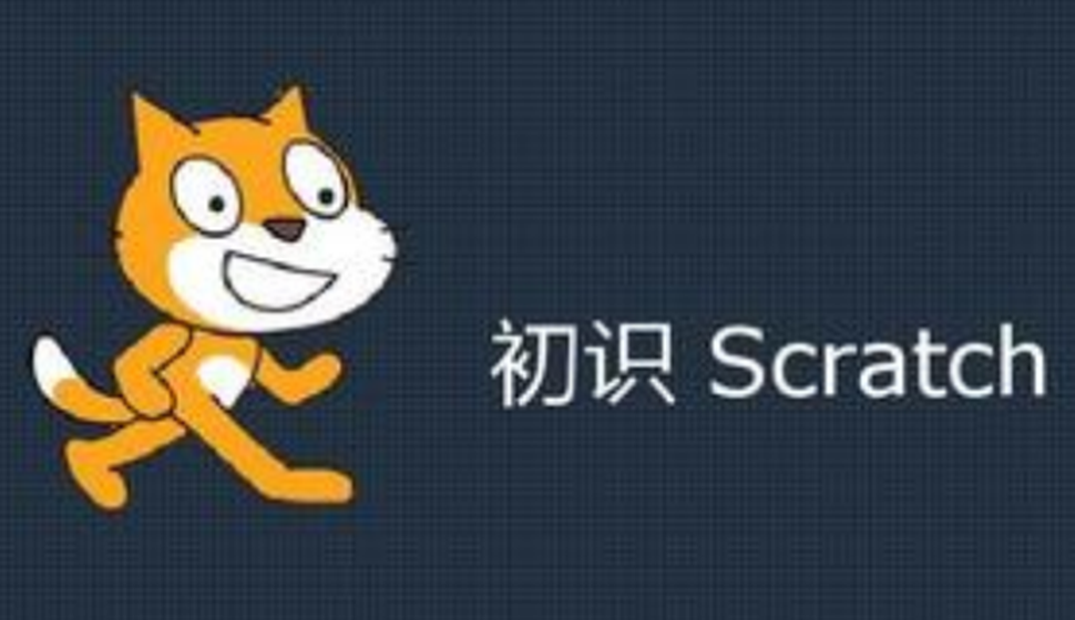 Scratch編程入門與算法進(jìn)階視頻課程