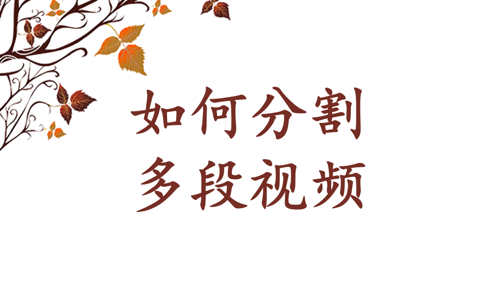 會(huì)聲會(huì)影2018  如何分割多段視頻