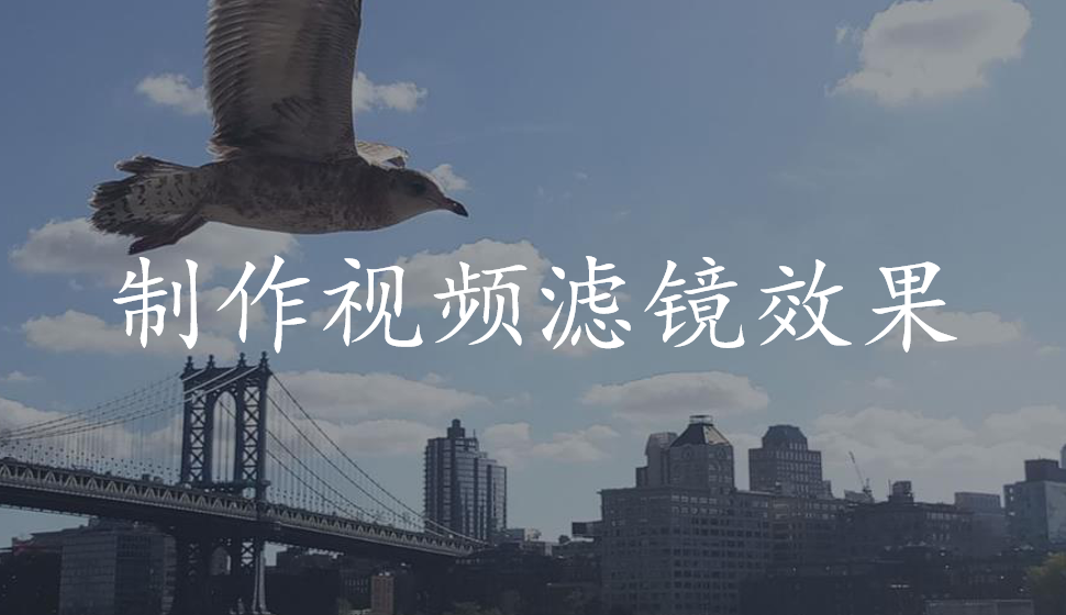 EDIUS Pro 8  制作視頻濾鏡效果