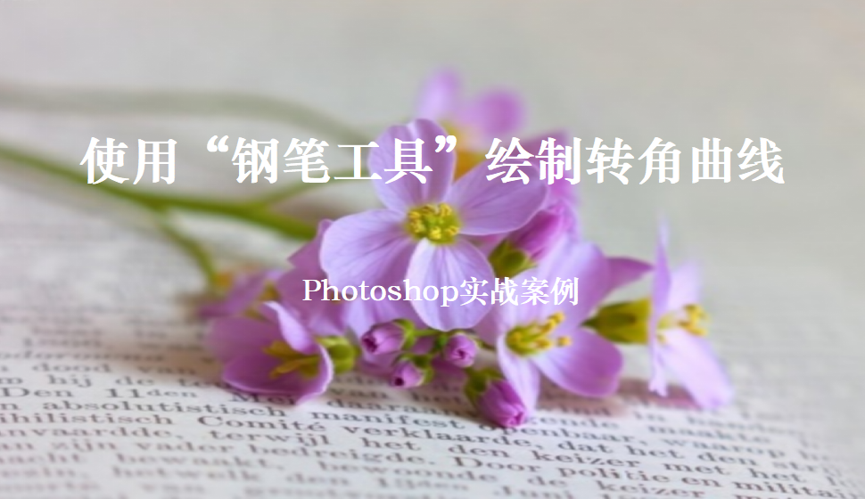 Photoshop 使用“鋼筆工具”繪制轉(zhuǎn)角曲線(xiàn)