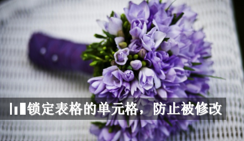 WPS  Excel 鎖定表格的單元格，防止被修改