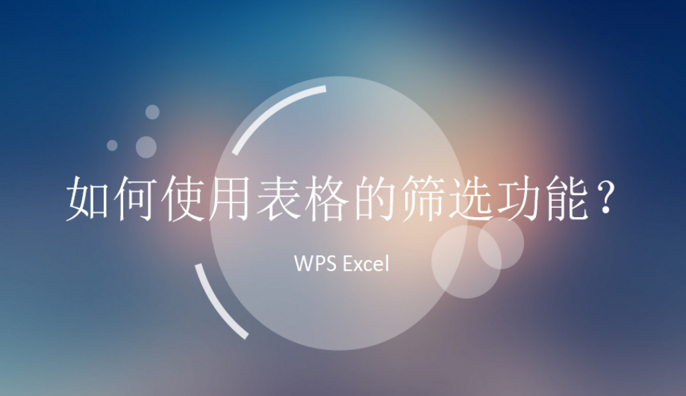 WPS Excel 如何使用表格的篩選功能？