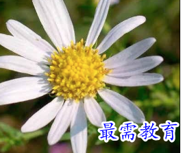 1655536475199923.png image.png