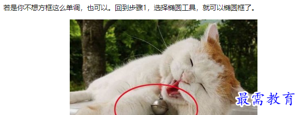 1660553211998540.png image.png