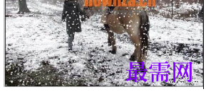 1720089837767893.png image.png
