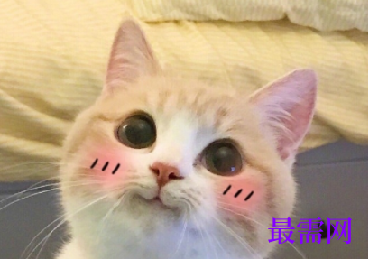 1729570499890305.png image.png